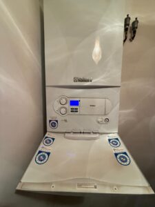 Thermenwartung Ihrer Kamintherme Kombitherme Heizwert 5